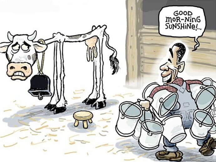 milking-the-cow