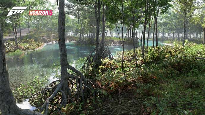 FH5_Biome-Swamp-02-16x9_WM