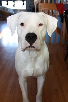 IMG_0315
