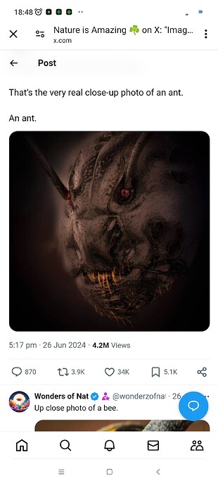 Screenshot_2024-06-27-18-48-49-521_com.android.chrome