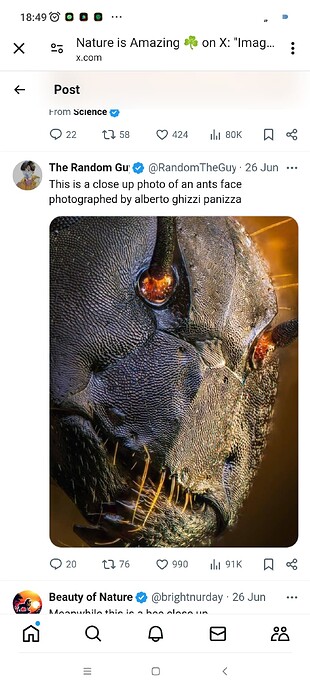 Screenshot_2024-06-27-18-49-54-410_com.android.chrome