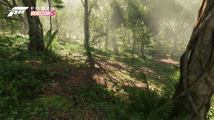 FH5_Biome-Jungle-03-16x9_WM