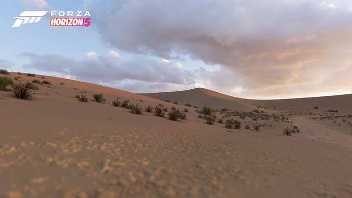 FH5_Biome-Sand_Desert-01-16x9_WM