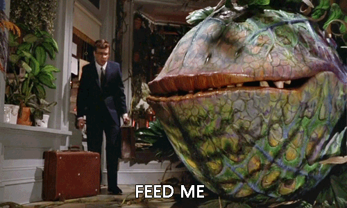 feed me