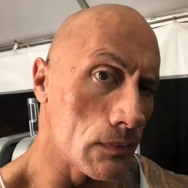 the rock eyebrow