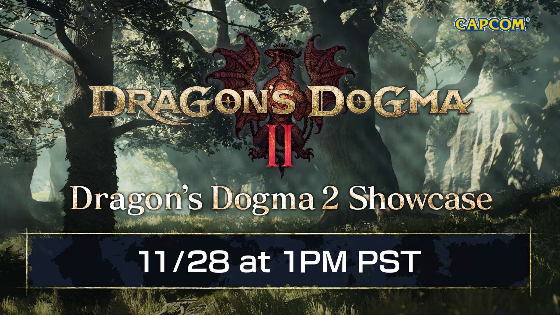 Dragons dogma 2 цена