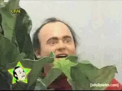 awkward tim and eric awesome show great job GIF