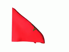 Morocco Flag